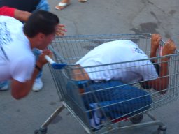 XIX Concentracion - 2012